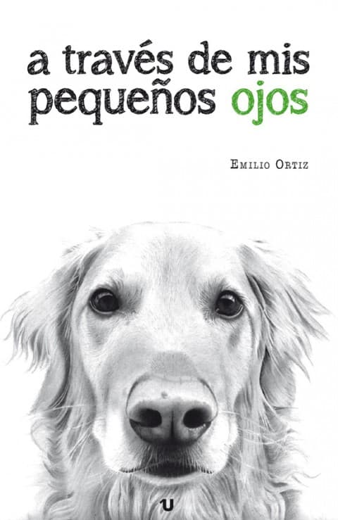 Portada catalogo A TRAVES DE MIS PEQUENOS OJOS 480x739 1 - UNO editorial